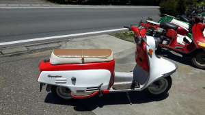 ラビットシート無題