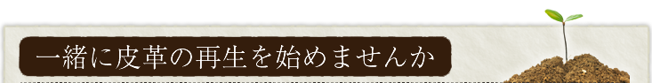 一緒に皮革の再生を始めませんか